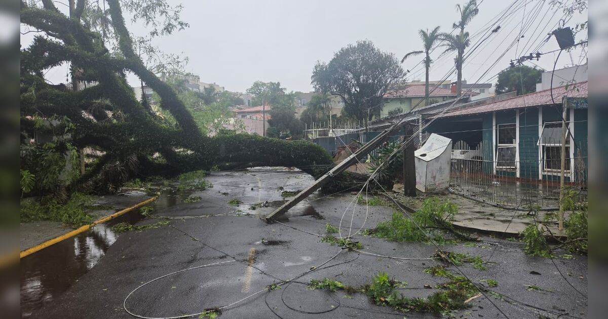 temporal-derrubou-mais-de-600-arvores-e-afetou-90%-da-rede-eletrica-em-apucarana