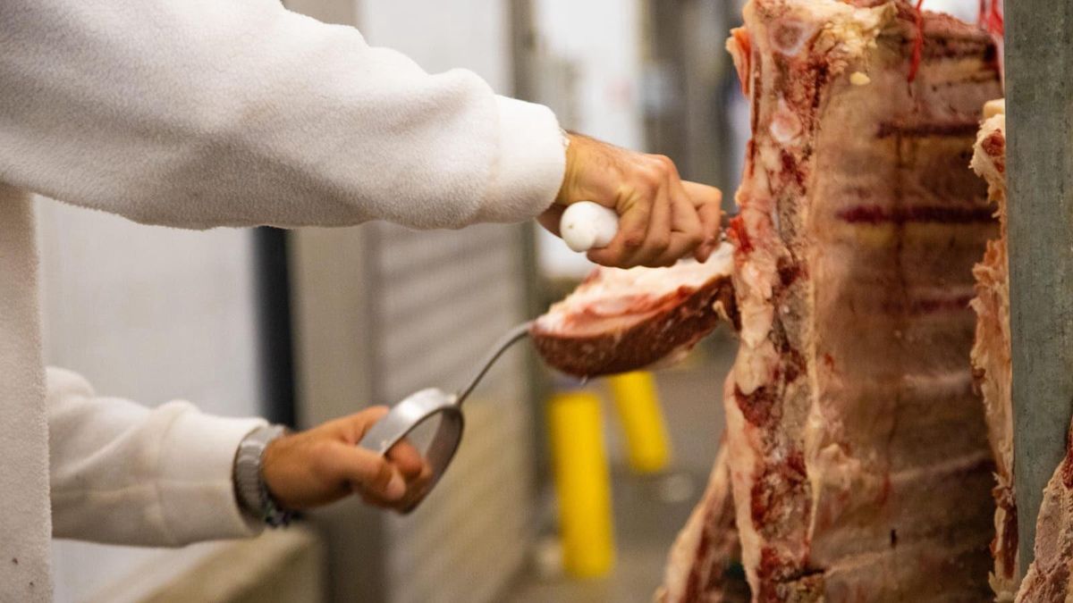 cesion-de-parte-de-la-cuota-de-carne-a-brasil:-csukasi-dijo-que-es-“inocente”-pensar-que-fue-“a-espaldas”-de-china
