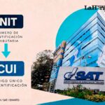 cui-en-lugar-del-nit:-¿que-pasara-ahora-con-los-contribuyentes-tras-el-aval-de-la-cc?