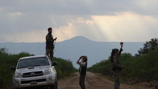 ¿como-y-hasta-cuando-sumarse-como-voluntario-a-los-4-proyectos-de-conservacion-de-aves-argentinas?