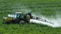 informe-que-causo-alarma-sobre-niveles-de-glifosato-en-alimentos-habia-multiplicado-por-200-las-cifras-reales