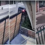 caso-polar:-carabineros-abre-sumario-y-familia-anuncia-acciones-judiciales