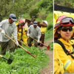 casi-7.000-empleos-temporales-para-prevencion-de-incendios-forestales