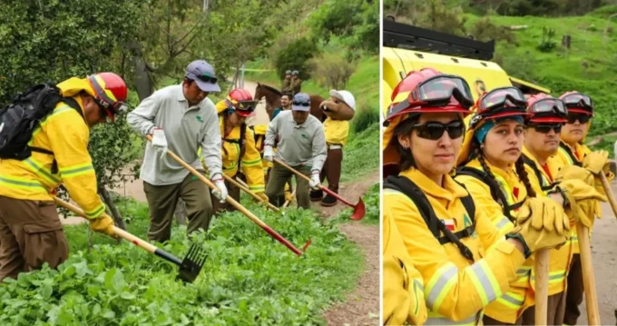 casi-7.000-empleos-temporales-para-prevencion-de-incendios-forestales