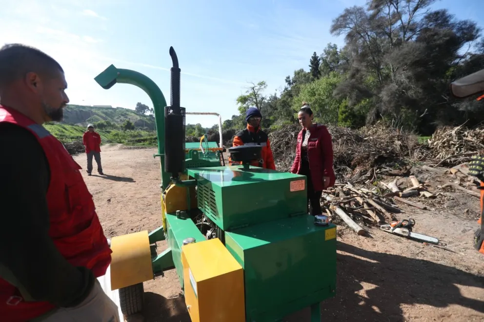 de-ramas-a-mulch:-municipio-de-la-serena-incorpora-chipeadora-para-reutilizar-residuos-vegetales
