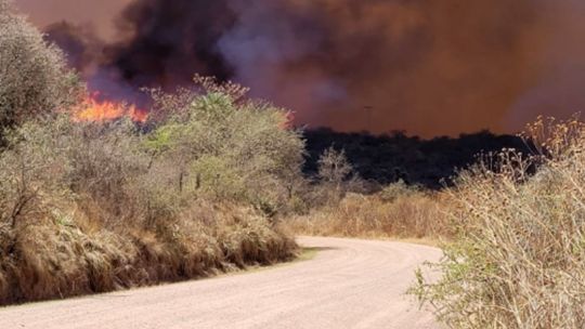 ¿como-es-el-plan-para-combatir-los-incendios-forestales-en-capilla-del-monte?