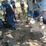 santa-cruz:-sedes-confirma-caso-de-rabia-canina-y-activa-operativo-epidemiologico- 