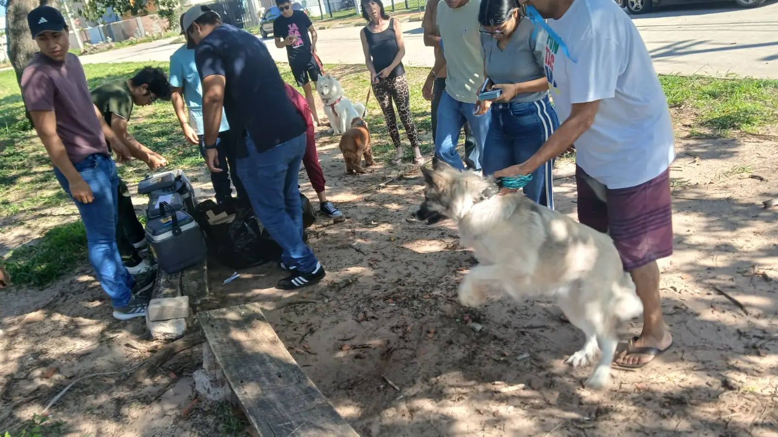 santa-cruz:-sedes-confirma-caso-de-rabia-canina-y-activa-operativo-epidemiologico- 