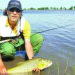 el-nino-viene-con-buenos-dorados