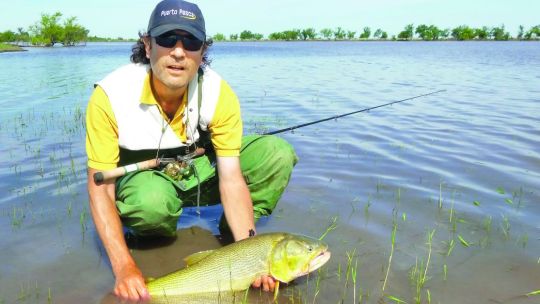el-nino-viene-con-buenos-dorados
