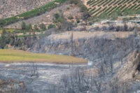 con-100-brigadistas,-8-cuadrillas-y-un-helicoptero-inicia-plan-contra-incendios-forestales