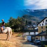 espana-busca-2-voluntarios-para-vivir-gratis-en-un-pueblo:-no-exigen-saber-ningun-idioma-y-solo-tendras-que-cuidar-un-jardin-3-horas-al-dia