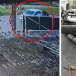 “hay-varios-videos-que-acreditan-la-situacion”,-dijo-la-abogada-de-la-madre-del-bebe-que-murio-en-un-siniestro-en-piedras-blancas