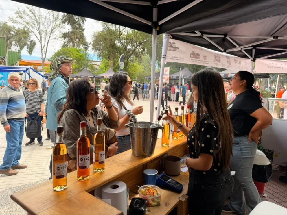 vicuna-celebra-el-dia-mundial-del-turismo-con-multitudinaria-activacion