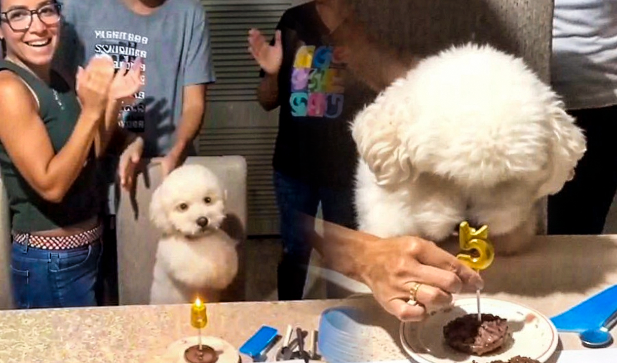 perrito-se-vuelve-viral-por-su-adorable-reaccion-mientras-le-cantan-por-sus-5-anos:-el-video-de-copito-que-enternece-en-redes