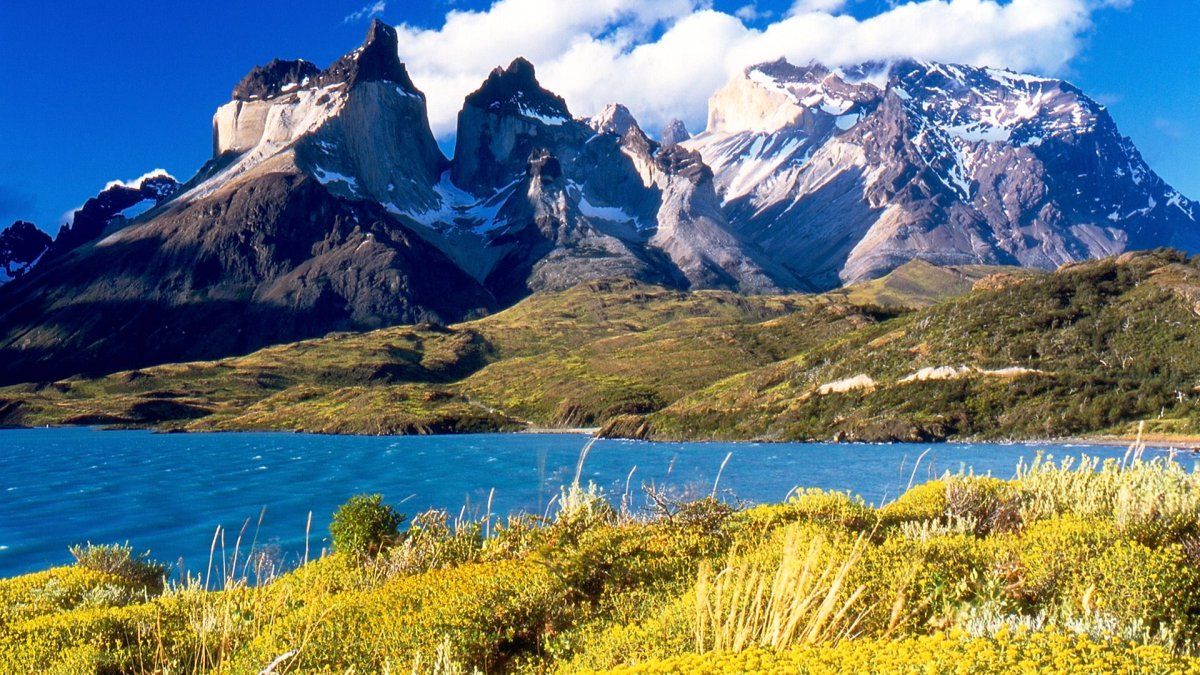 dejaron-todo-y-se-mudaron-al-fin-del-mundo:-tes-historias-de-quienes-fueron-hipnotizados-por-la-cruz-del-sur
