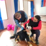 dia-mundial-contra-la-rabia:-mas-de-300-mascotas-han-sido-vacunadas-en-la-region-de-coquimbo