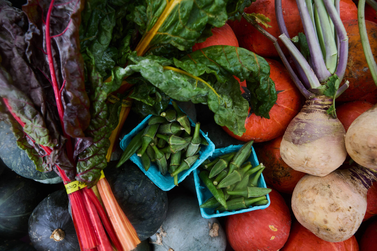 conheca-dez-frutas-e-hortalicas-queridinhas-dos-especialistas-em-nutricao