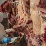 registran-$us-1.115-millones-por-exportacion-de-carne