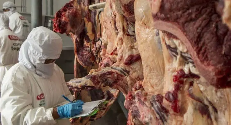 registran-$us-1.115-millones-por-exportacion-de-carne