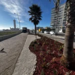 paisajismo-sustentable:-la-serena-recupera-espacios-publicos-con-nuevos-jardines-y-plantas-de-bajo-consumo-hidrico