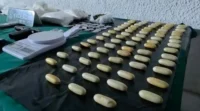 detienen-a-banda-que-ingresaba-droga-desde-bolivia-a-la-provincia-de-limari