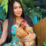 ¡preocupacion-por-la-desaparicion-desde-hace-meses-de-la-gallina-“hortensia”!