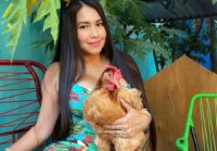 ¡preocupacion-por-la-desaparicion-desde-hace-meses-de-la-gallina-“hortensia”!