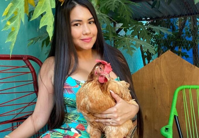 ¡preocupacion-por-la-desaparicion-desde-hace-meses-de-la-gallina-“hortensia”!