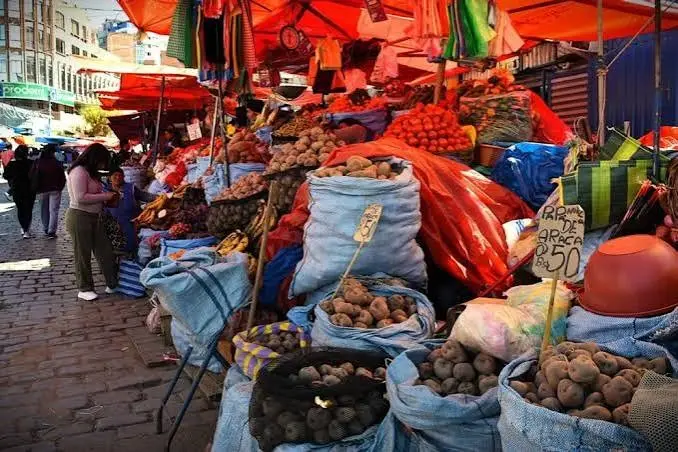 gobernacion-inicia-relevamiento-de-precios-de-alimentos-en-origen