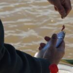 sardinas-del-guazu:-la-apasionante-pesca-que-desafia-a-los-aficionados
