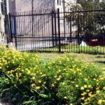 montevideo-tendra-65-jardines-de-lluvia-nuevos-en-la-ciudad:-que-son-y-que-resultado-busca-lograr-la-intendencia