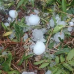 intensa-granizada-causa-danos-en-cultivos-de-vallegrande