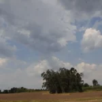 meteorologo-anuncio-una-mejora-temporal-del-tiempo:-cuando-vuelve-el-sol-y-cuando-podria-llover-otra-vez