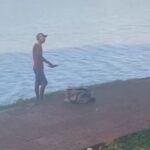intento-escapar-de-la-policia-lanzandose-al-lago-y-le-acorralaron-los-cocodrilos