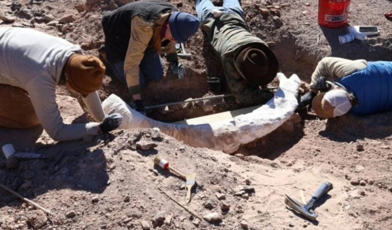parecia-un-viejo-tronco-encontrado-en-un-arroyo-de-texas,-pero-los-cientificos-descubrieron-que-era-un-raro-colmillo-de-mamut