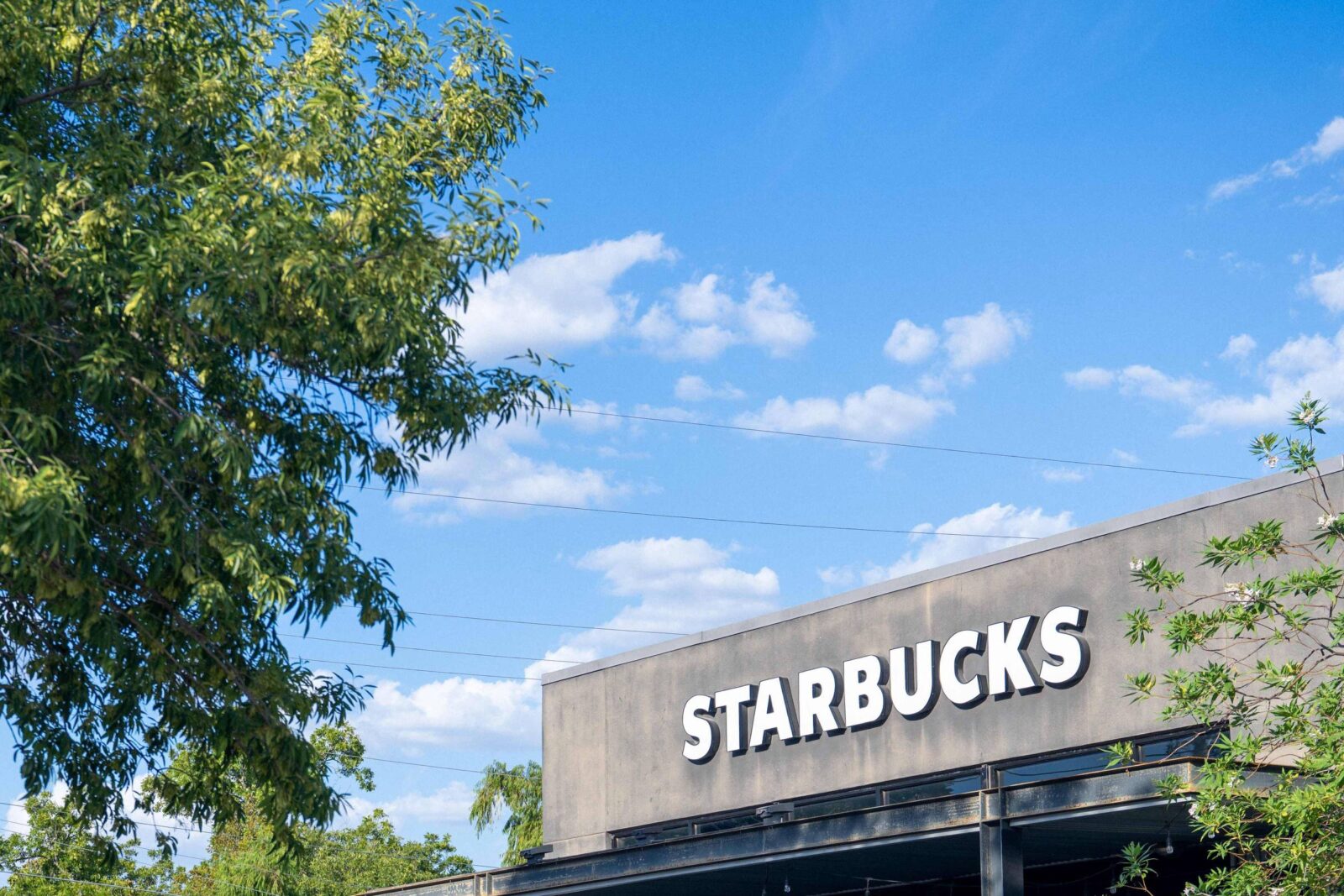 starbucks-recua-em-metas-ambientais-em-meio-a-esforco-de-corte-de-custos-de-us$-2-bilhoes