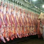 argentina-vuelve-a-exportar-carne-a-japon-despues-de-20-anos-y-se-abre-un-mercado-de-u$s3.000-millones
