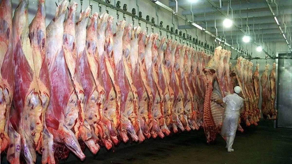 argentina-vuelve-a-exportar-carne-a-japon-despues-de-20-anos-y-se-abre-un-mercado-de-u$s3.000-millones
