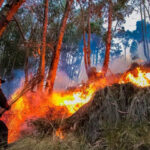 alerta-roja-por-incendios-forestales-en-nueve-regiones:-riesgo-se-mantiene-hasta-el-5-de-octubre
