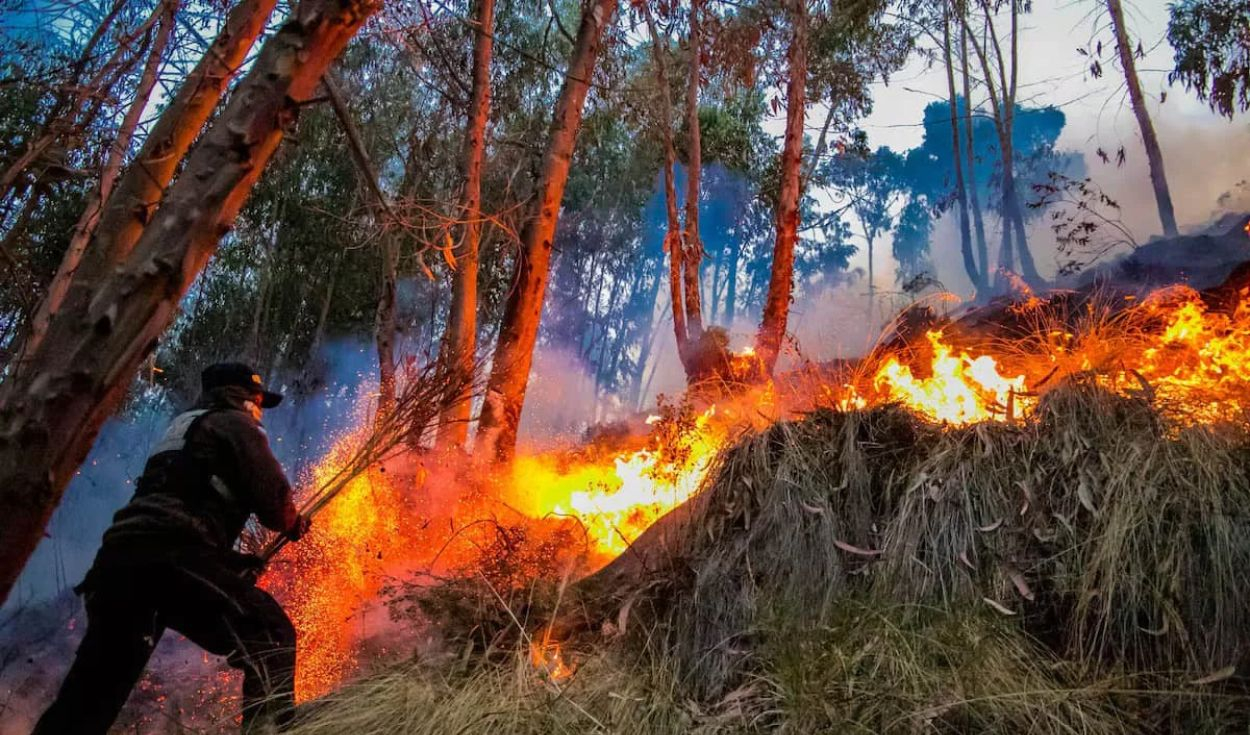 alerta-roja-por-incendios-forestales-en-nueve-regiones:-riesgo-se-mantiene-hasta-el-5-de-octubre