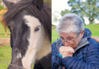 idosa-achou-que-premio-era-cavalo,-mas-levou-mansao-de-r$-29-mi-em-sorteio