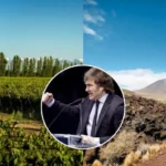 corte-suprema-argentina-elimina-limites-a-la-compra-de-tierras-por-extranjeros