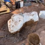 un-paleontologo-aficionado-encontro-el-fosil-casi-completo-de-un-titanosaurio-de-10-metros-de-altura-mientras-paseaba-con-su-perro