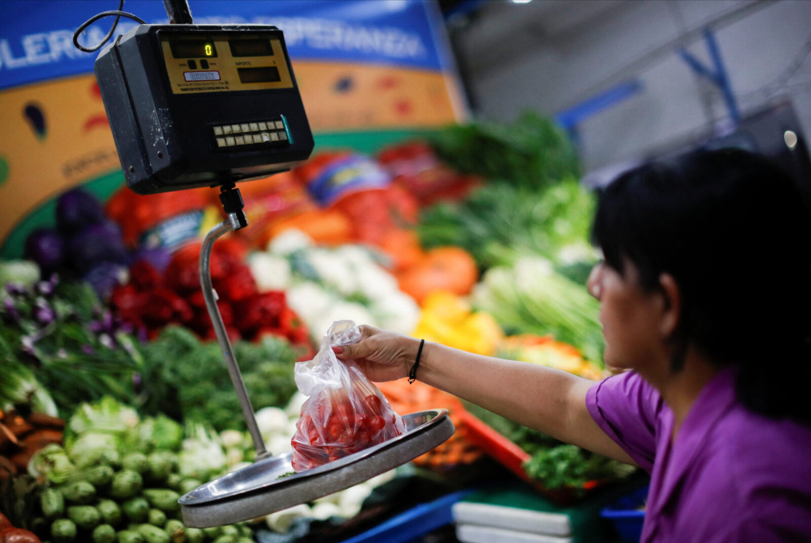 argentina-on-brink-of-recession-despite-growth-in-august,-experts-say