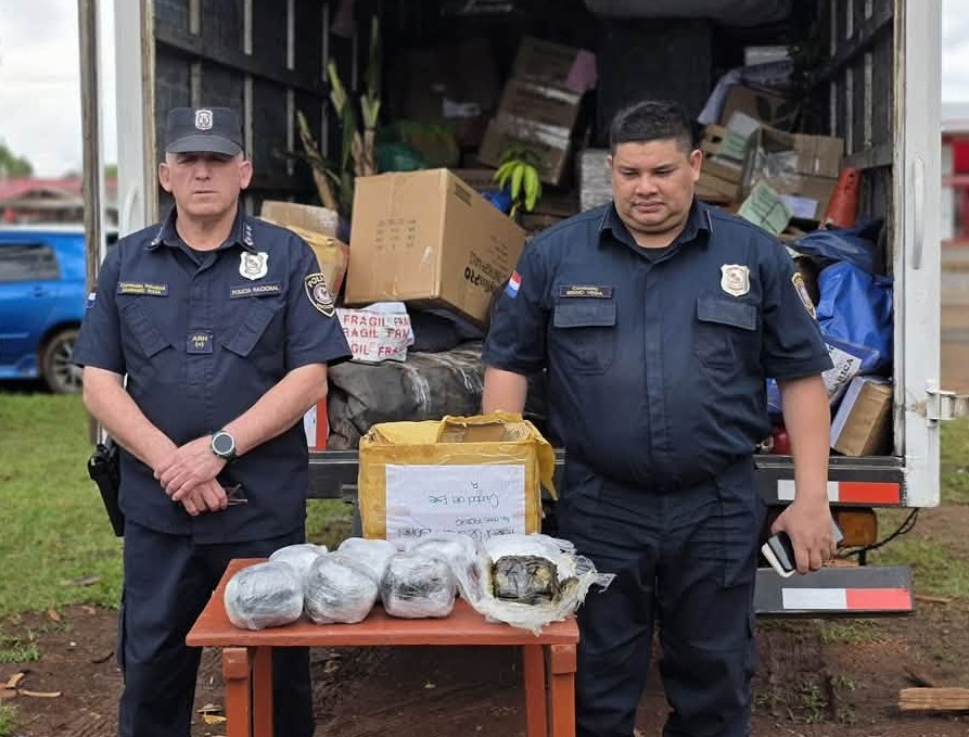 polis-revisaron-camion-de-encomiendas-y-pillaron-el-“purete”-por-un-fuerte-olor
