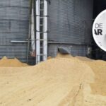 trabalhador-morre-soterrado-por-arroz-apos-cair-em-silo-em-sc