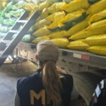 ejecutan-seis-allanamientos-en-huehuetenango-en-busqueda-de-fertilizantes-presuntamente-falsificados