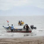 del-jurel-a-la-merluza:-los-peces-que-estan-cambiando-de-lugar-por-el-nino