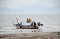 del-jurel-a-la-merluza:-los-peces-que-estan-cambiando-de-lugar-por-el-nino
